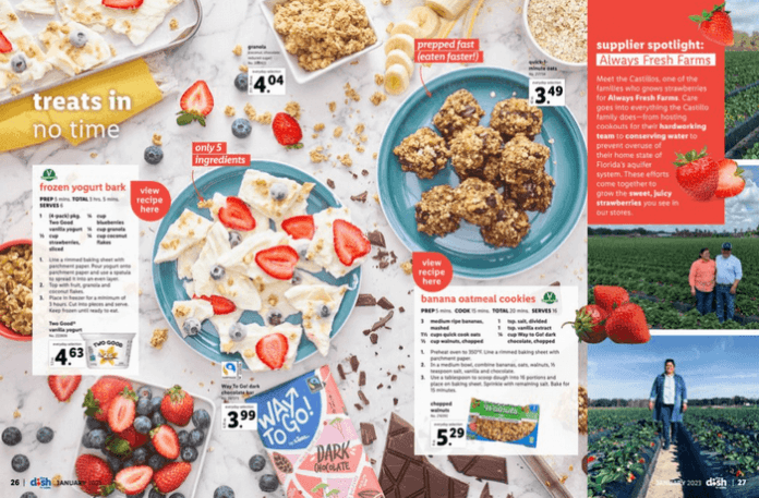 lidl-meal-plan-ideas-january-2023-catalog-dec-28-2022-jan-31-2023