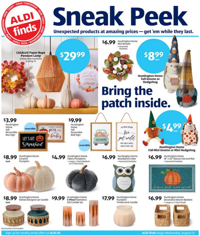 Aldi Fall Decor 2024 - Catlin Joellen